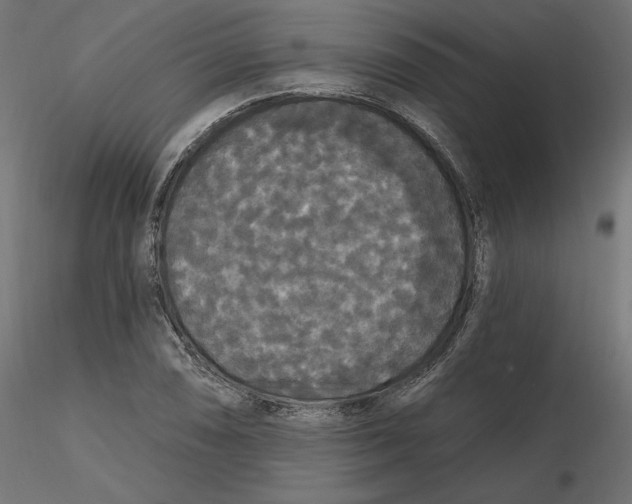 X0000116571074200912311948