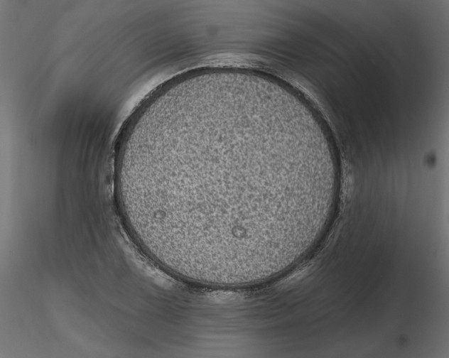 X0000116571075200912311948