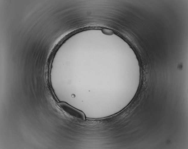 X0000116571076200912311948