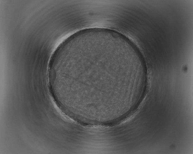 X0000116571077200912311948