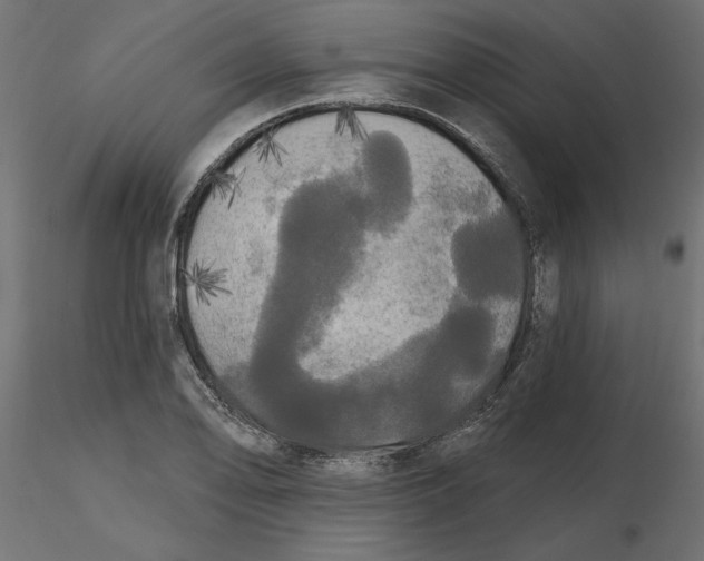 X0000116571078200912311948