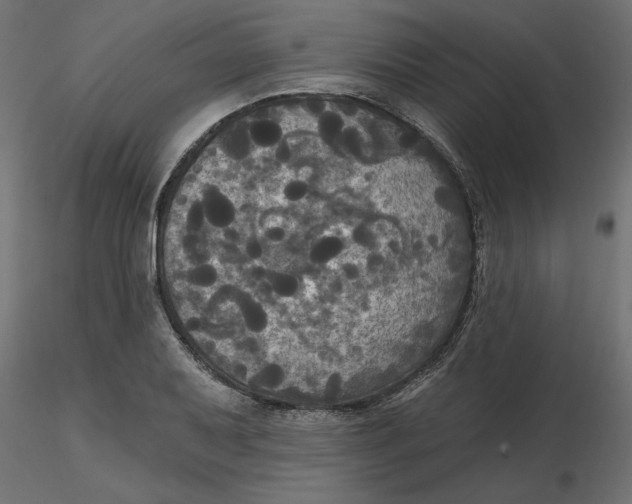 X0000116571079200912311948