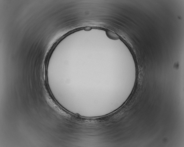 X0000116571080200912311948