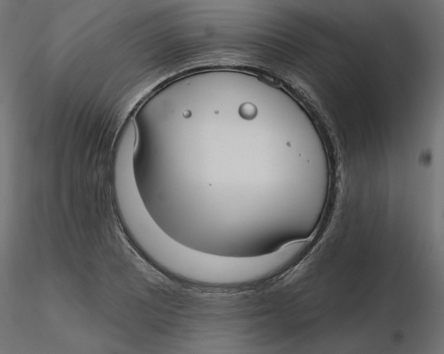 X0000116571081200912311948