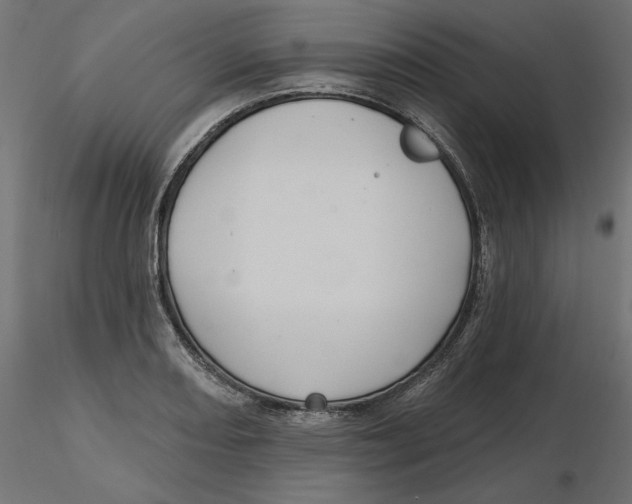 X0000116571082200912311948