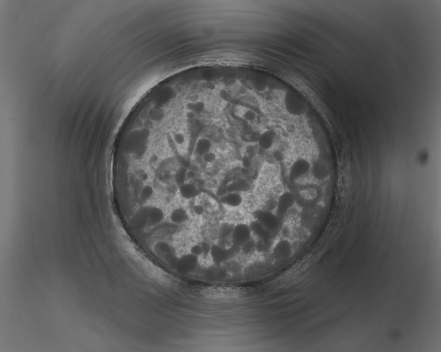 X0000116571083200912311948