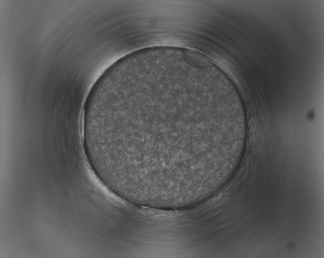 X0000116571084200912311948