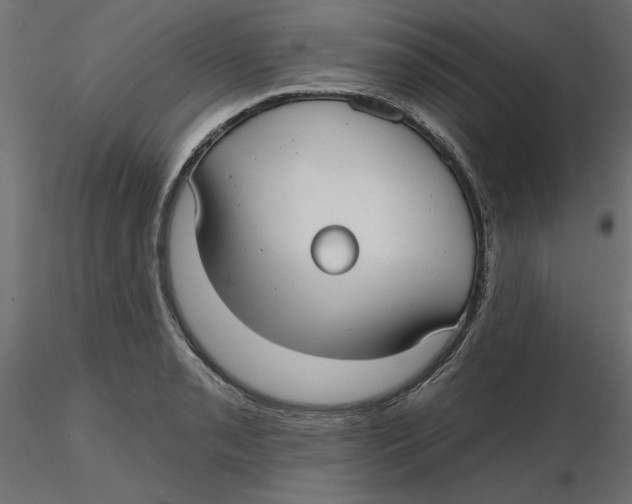 X0000116571085200912311948