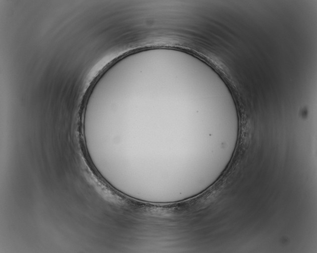 X0000116571086200912311948