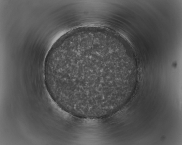 X0000116571087200912311948