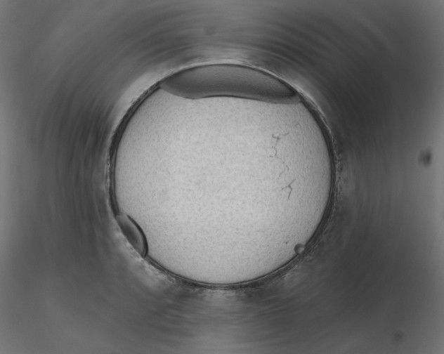 X0000116571088200912311948