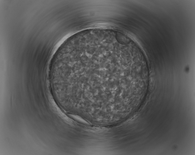 X0000116571091200912311948