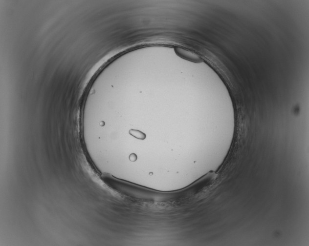 X0000116571092200912311948