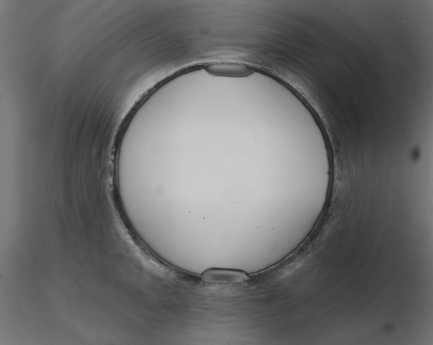 X0000116571093200912311948