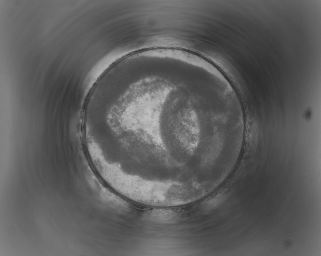 X0000116571094200912311948