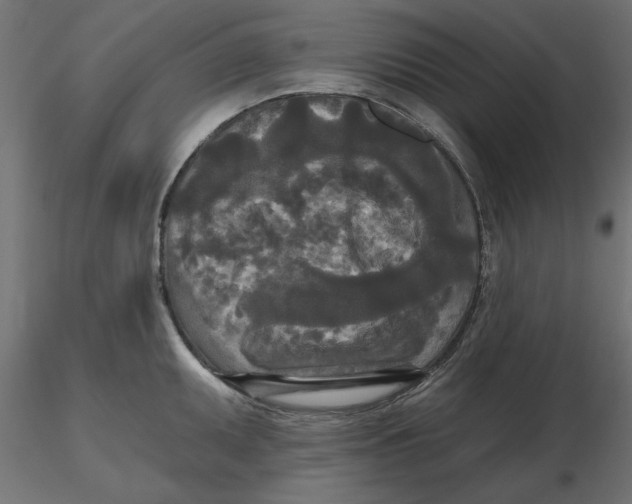 X0000116571095200912311948