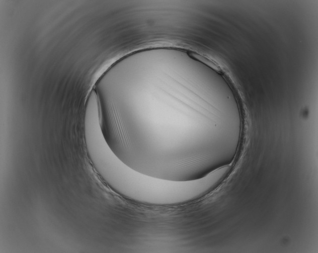 X0000116571097200912311948