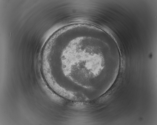 X0000116571098200912311948