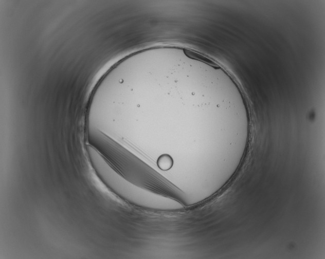 X0000116571100200912311948