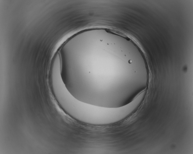 X0000116571101200912311948