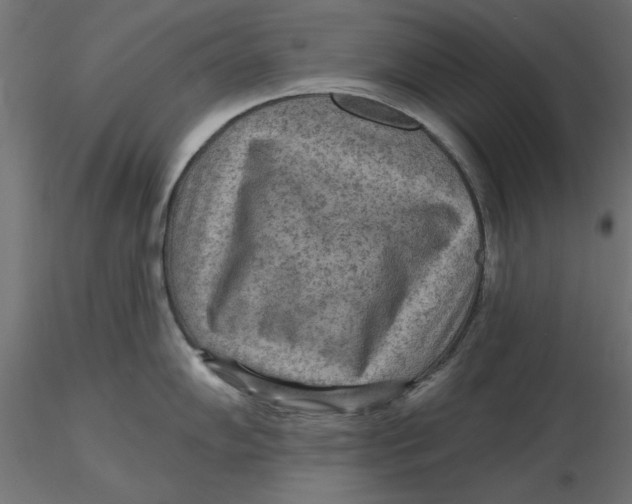 X0000116571102200912311948