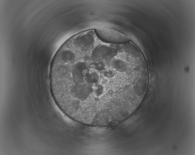 X0000116571103200912311948