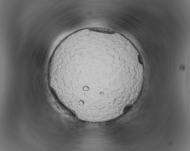 X0000116571104200912311948