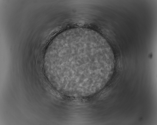 X0000116571105200912311947