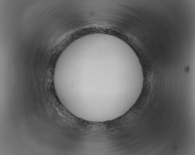 X0000116571110200912311947