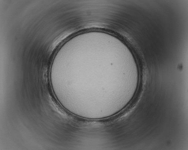 X0000116571113200912311947