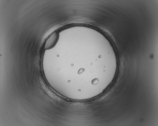 X0000116571114200912311947