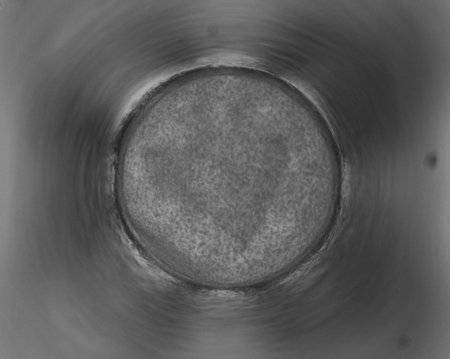 X0000116571115200912311947