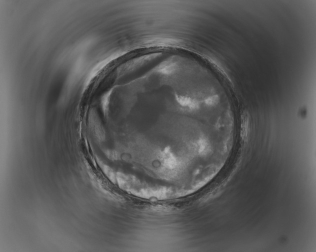 X0000116571117200912311948