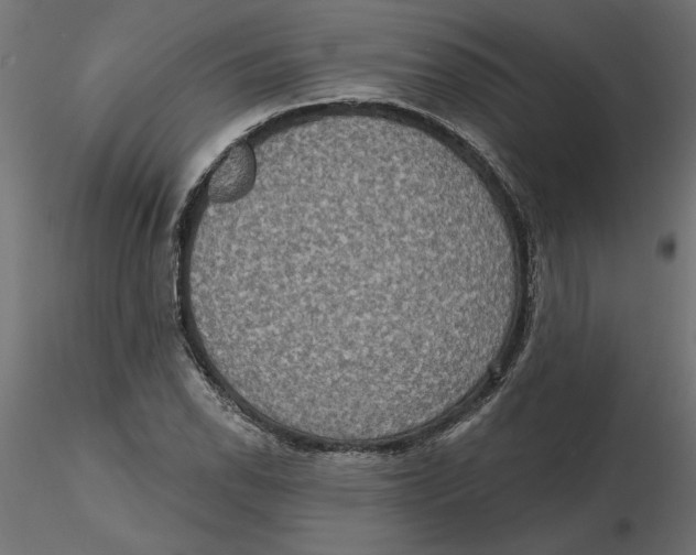 X0000116571118200912311948