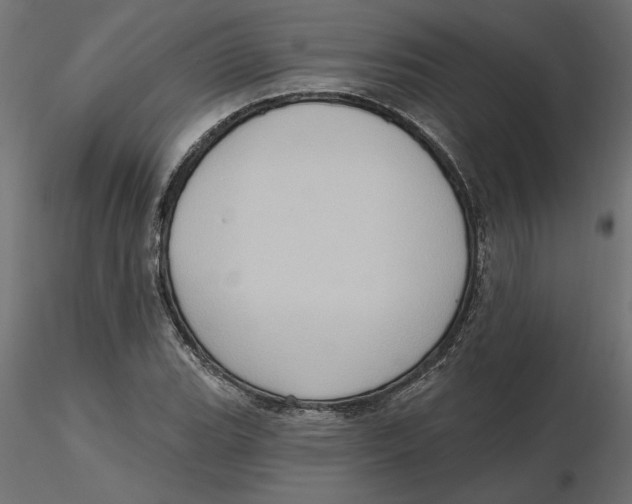 X0000116571119200912311948