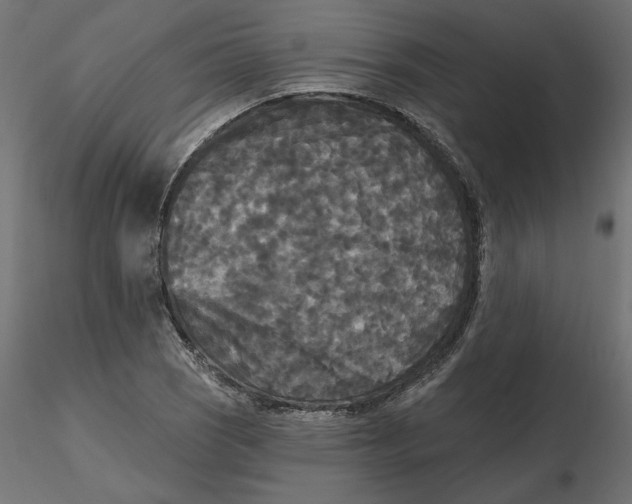 X0000116571121200912311948