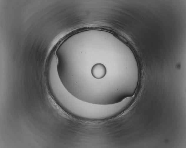 X0000116571122200912311948