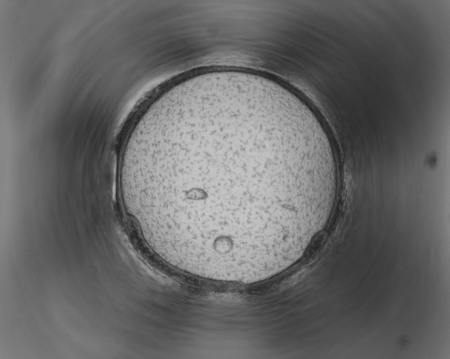 X0000116571123200912311948