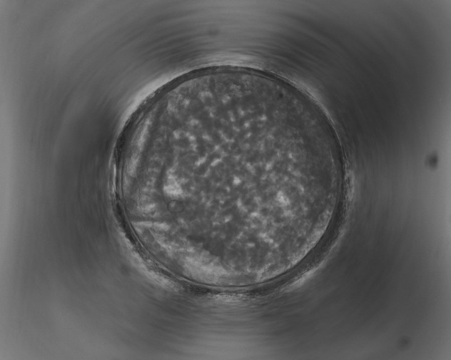 X0000116571125200912311948