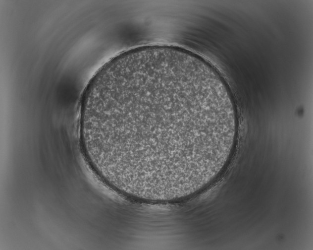 X0000116571126200912311948