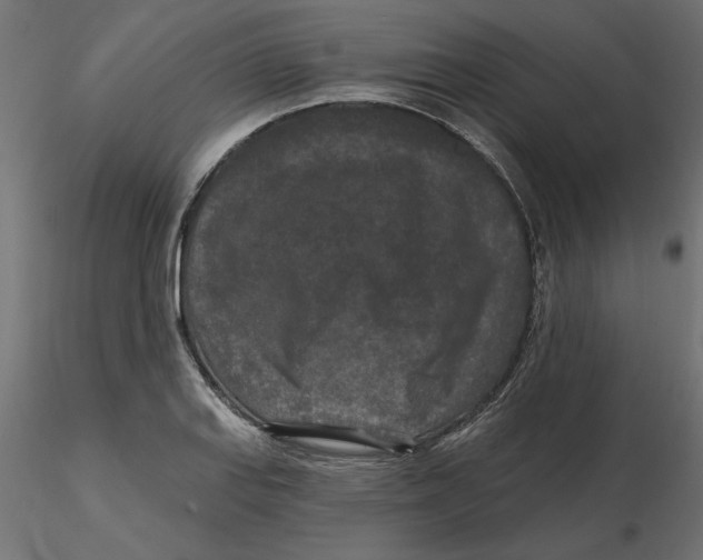 X0000116571127200912311948