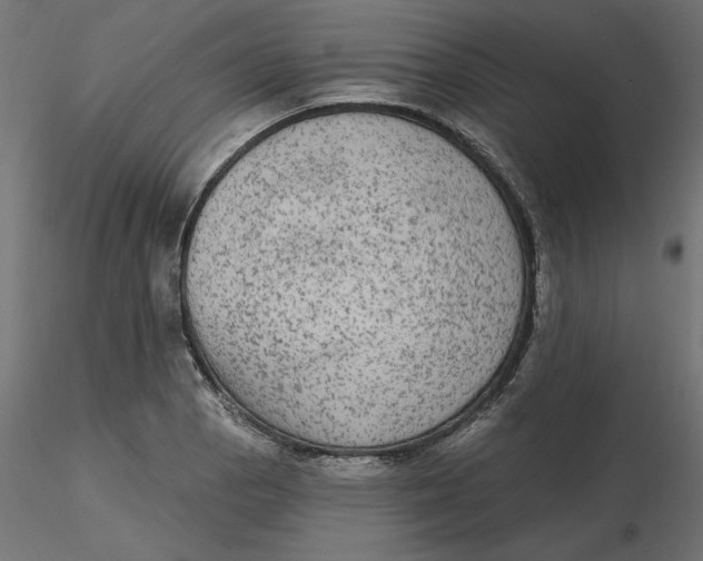 X0000116571129200912311948