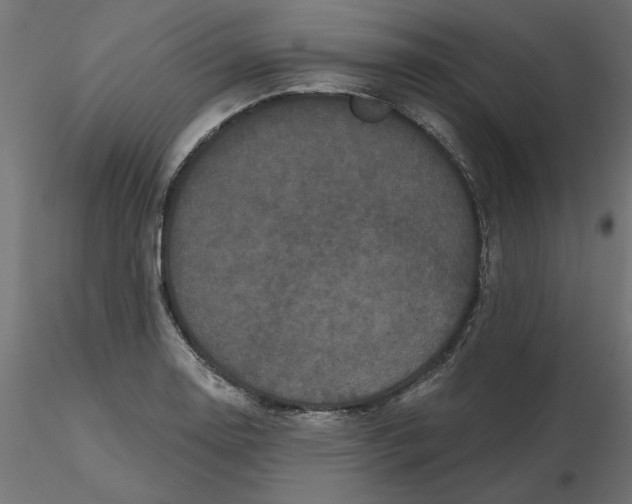 X0000116571130200912311948