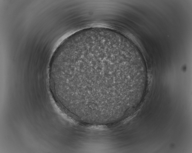 X0000116571133200912311948