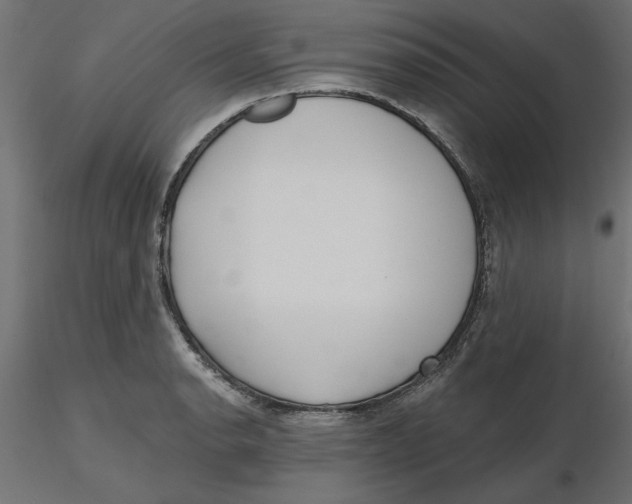 X0000116571134200912311948