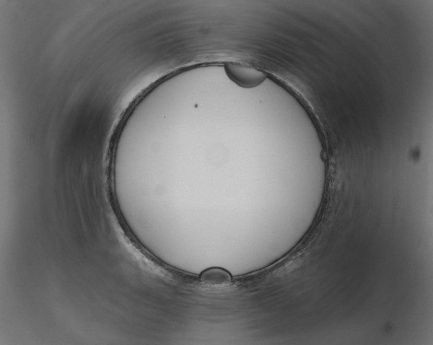 X0000116571135200912311948