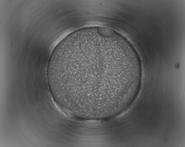 X0000116571137200912311948