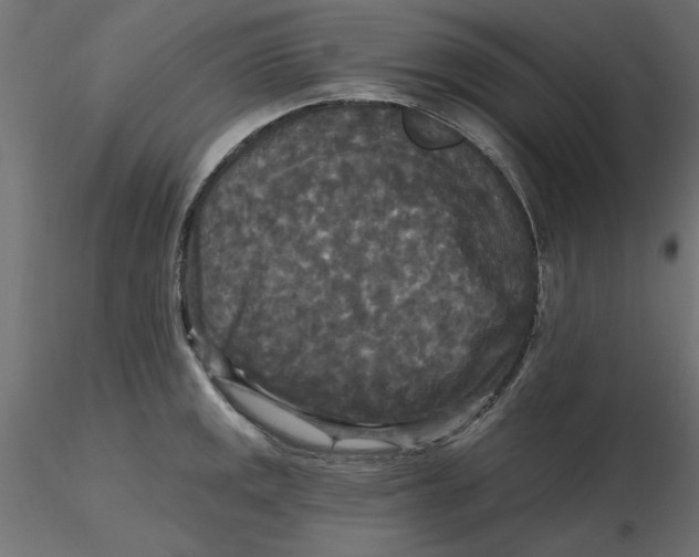 X0000116571141200912311948