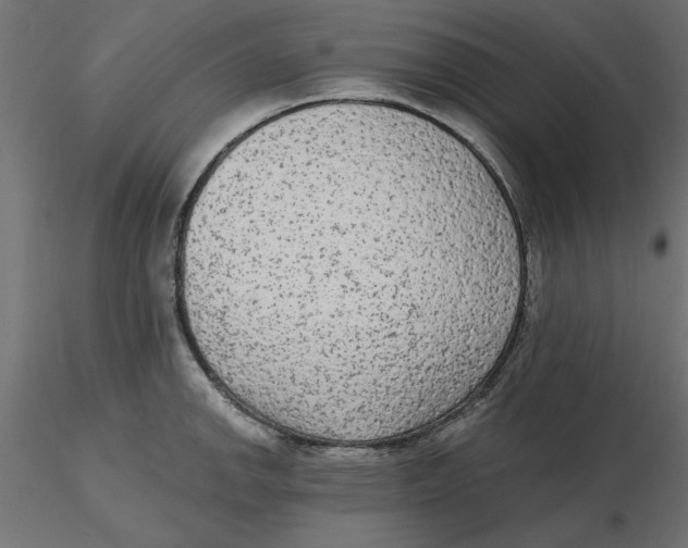 X0000116571142200912311948