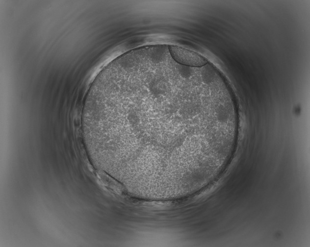 X0000116571145200912311948